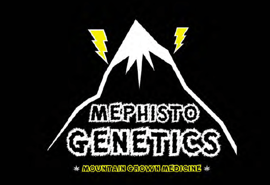 Mephisto Genetics Hubbabubbasmelloscope 3 siementä