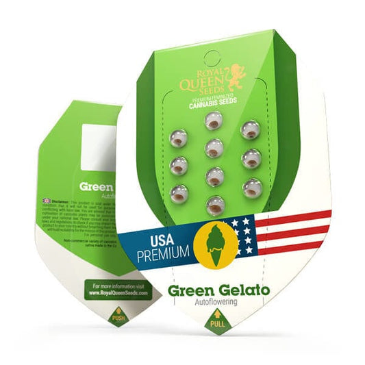 RQS Green Gelato Automatic
